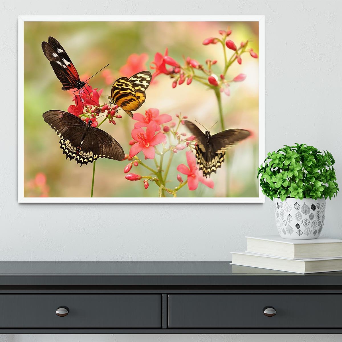 Beautiful tropical butterflies on a red flowers Framed Print - Canvas Art Rocks -6