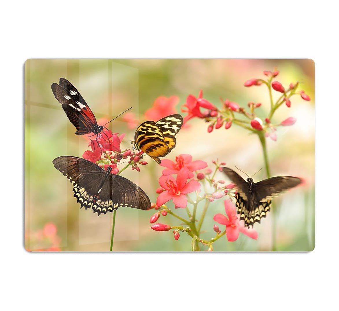 Beautiful tropical butterflies on a red flowers HD Metal Print - Canvas Art Rocks - 1