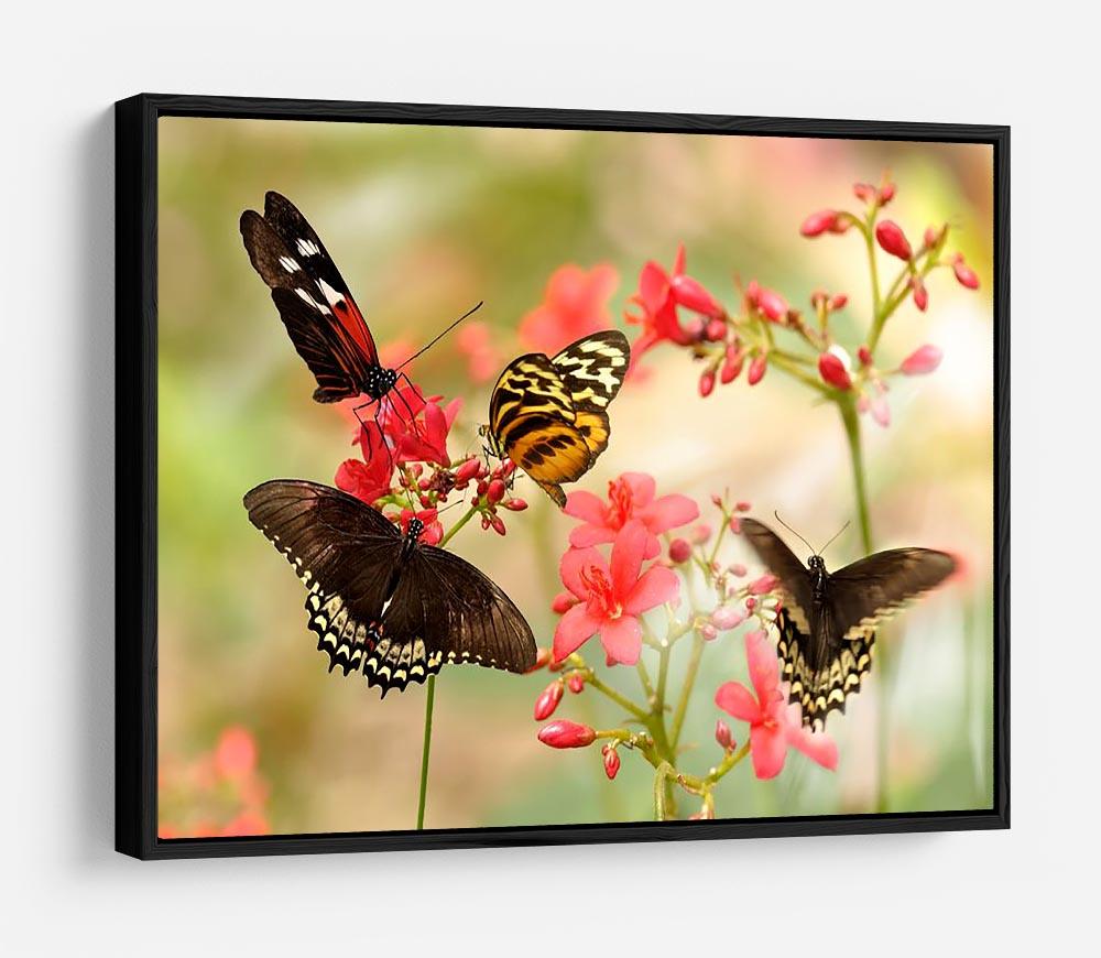 Beautiful tropical butterflies on a red flowers HD Metal Print - Canvas Art Rocks - 6