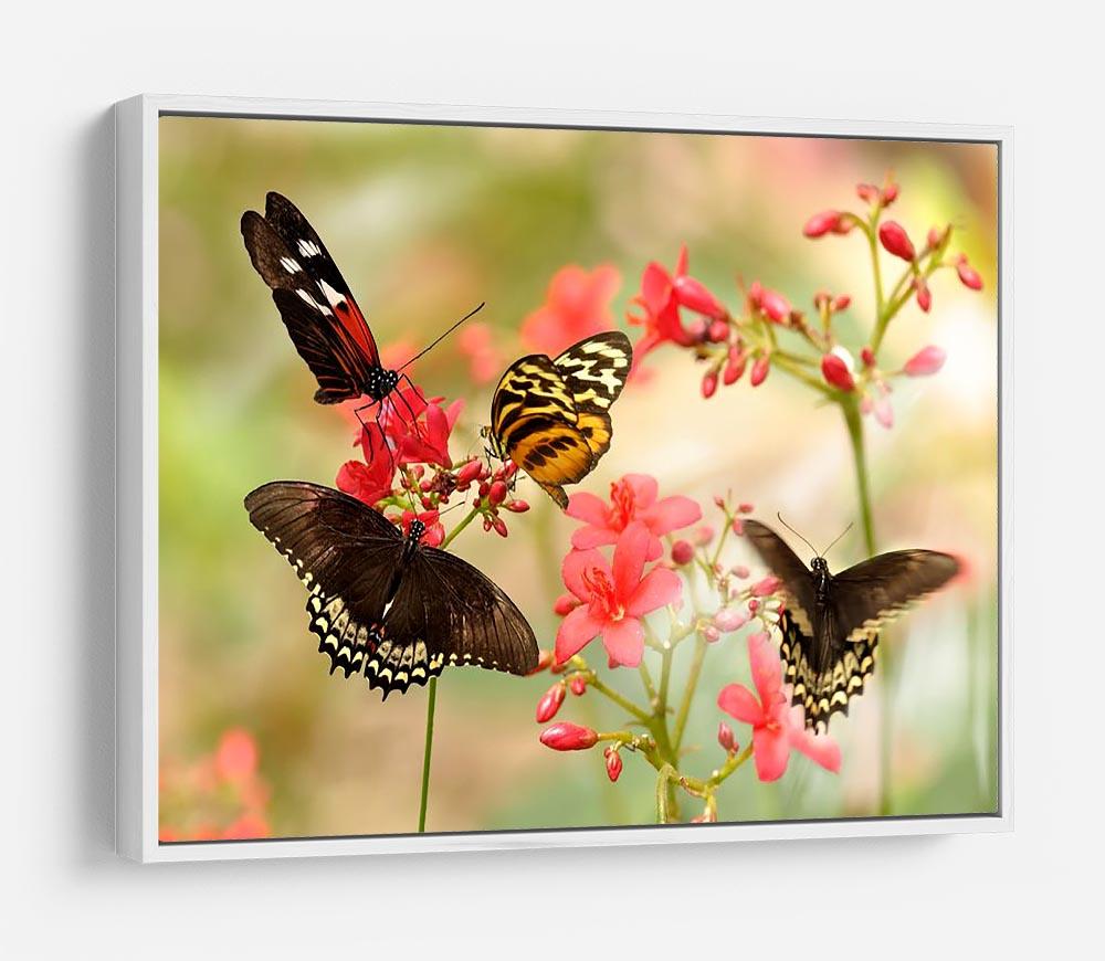Beautiful tropical butterflies on a red flowers HD Metal Print - Canvas Art Rocks - 7