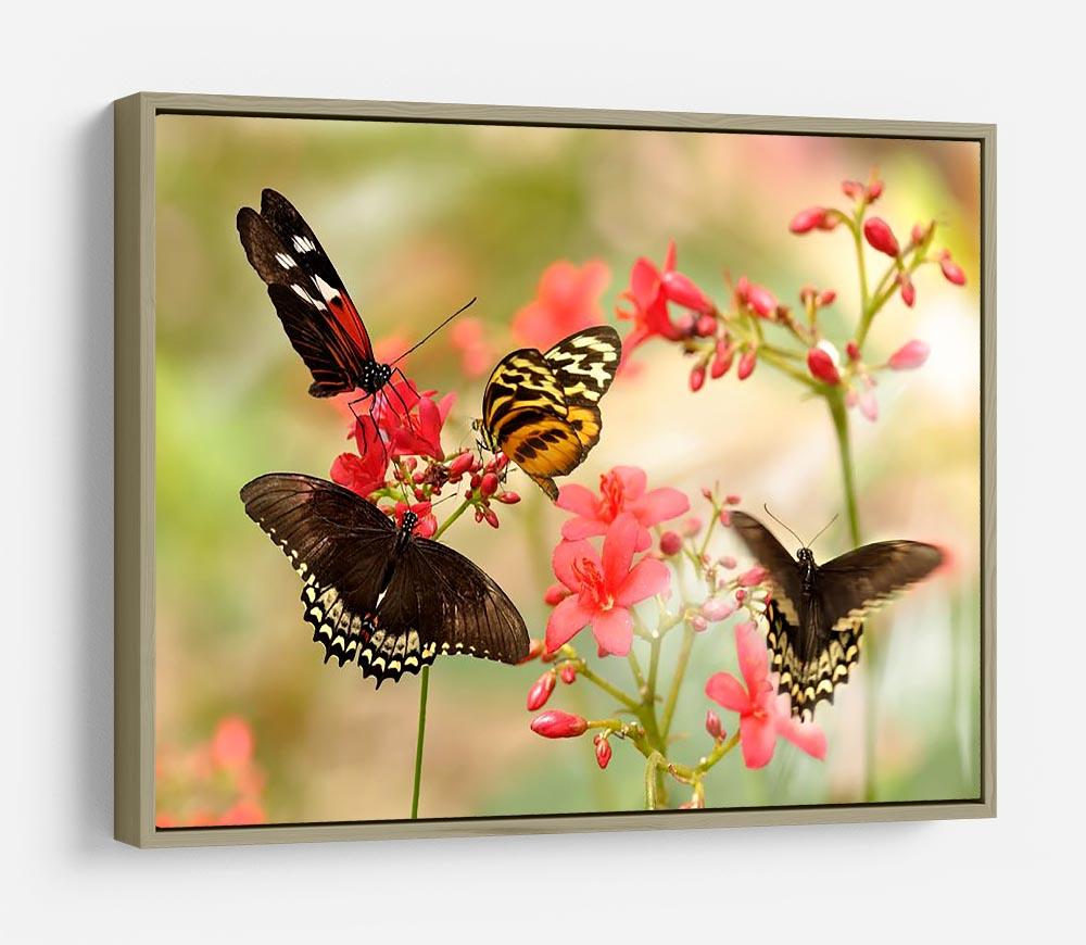 Beautiful tropical butterflies on a red flowers HD Metal Print - Canvas Art Rocks - 8
