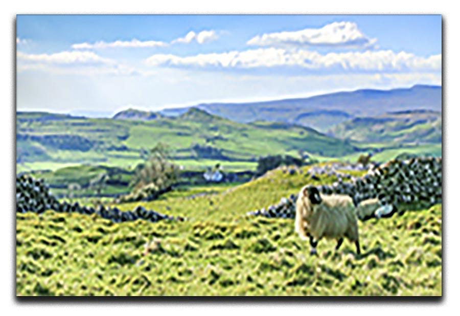 Beautiful yorkshire dales landscape Canvas Print or Poster - Canvas Art Rocks - 1