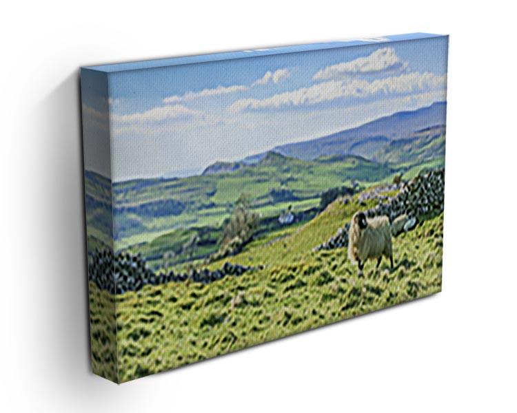 Beautiful yorkshire dales landscape Canvas Print or Poster - Canvas Art Rocks - 3