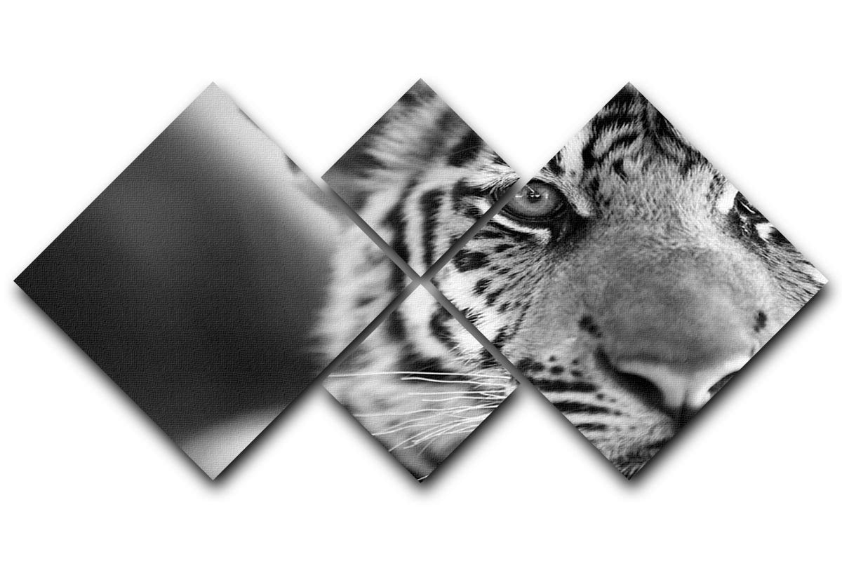 Beautiful young tiger 4 Square Multi Panel Canvas - Canvas Art Rocks - 1
