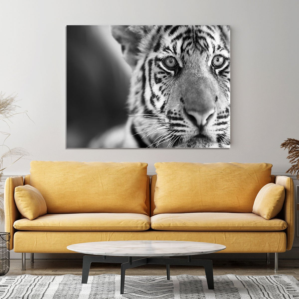 Beautiful young tiger Canvas Print or Poster