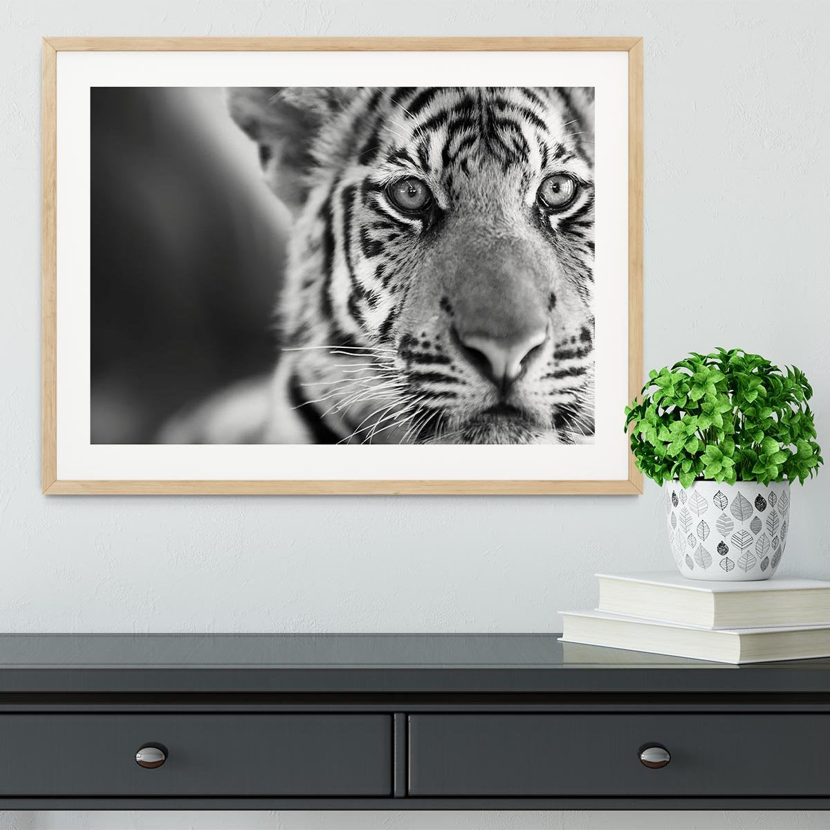 Beautiful young tiger Framed Print - Canvas Art Rocks - 3