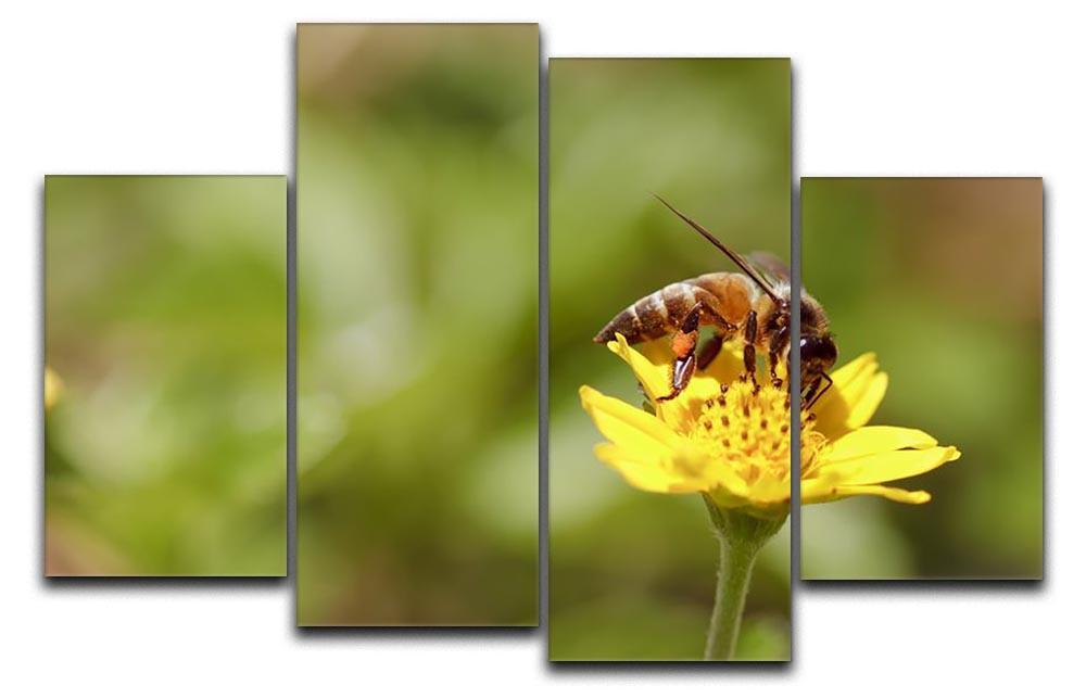 Bee and small sunflower 4 Split Panel Canvas  - Canvas Art Rocks - 1