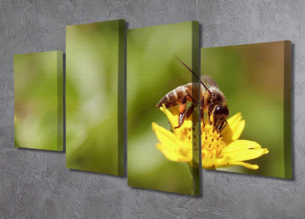 Bee and small sunflower 4 Split Panel Canvas  - Canvas Art Rocks - 2