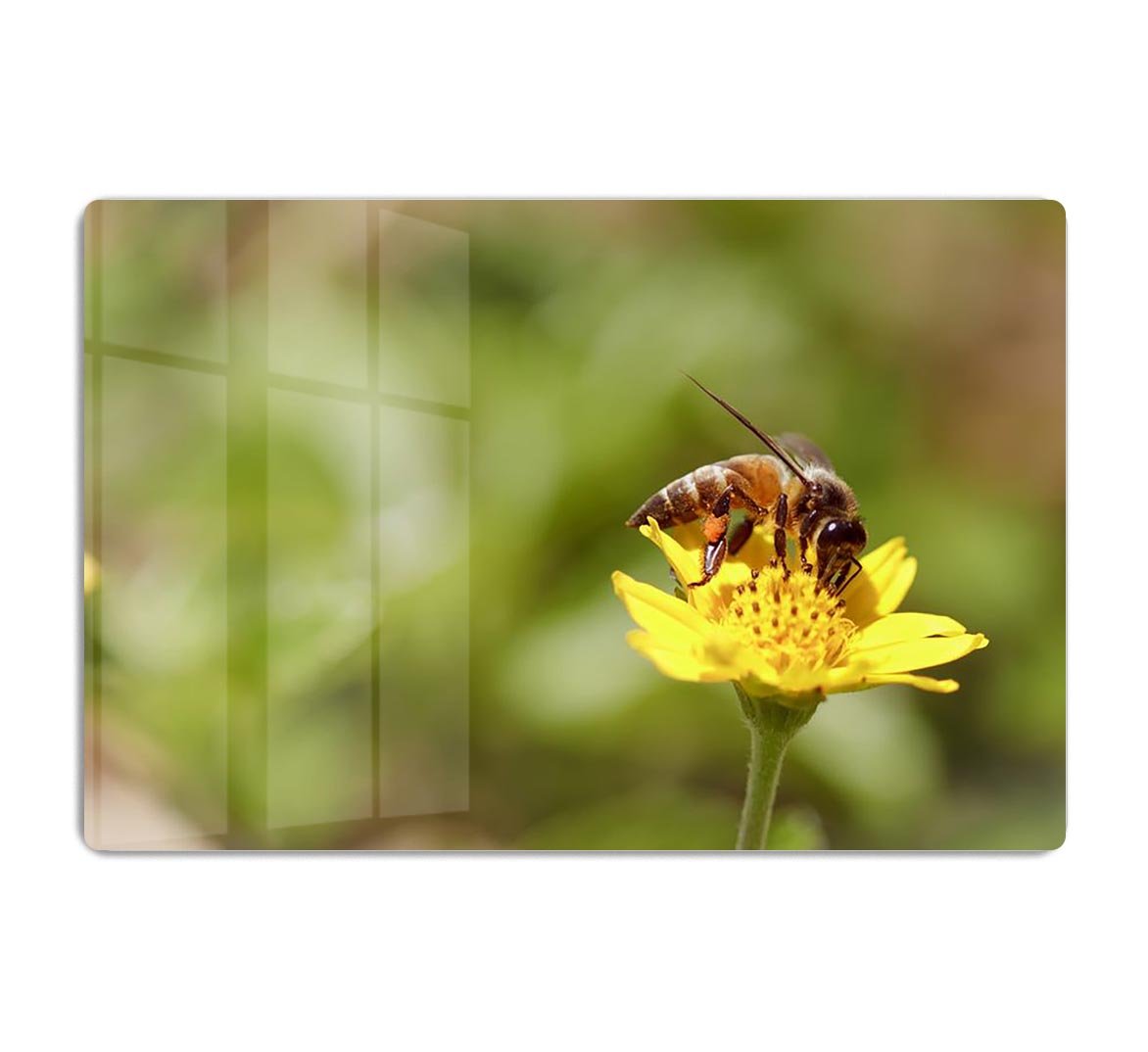 Bee and small sunflower HD Metal Print