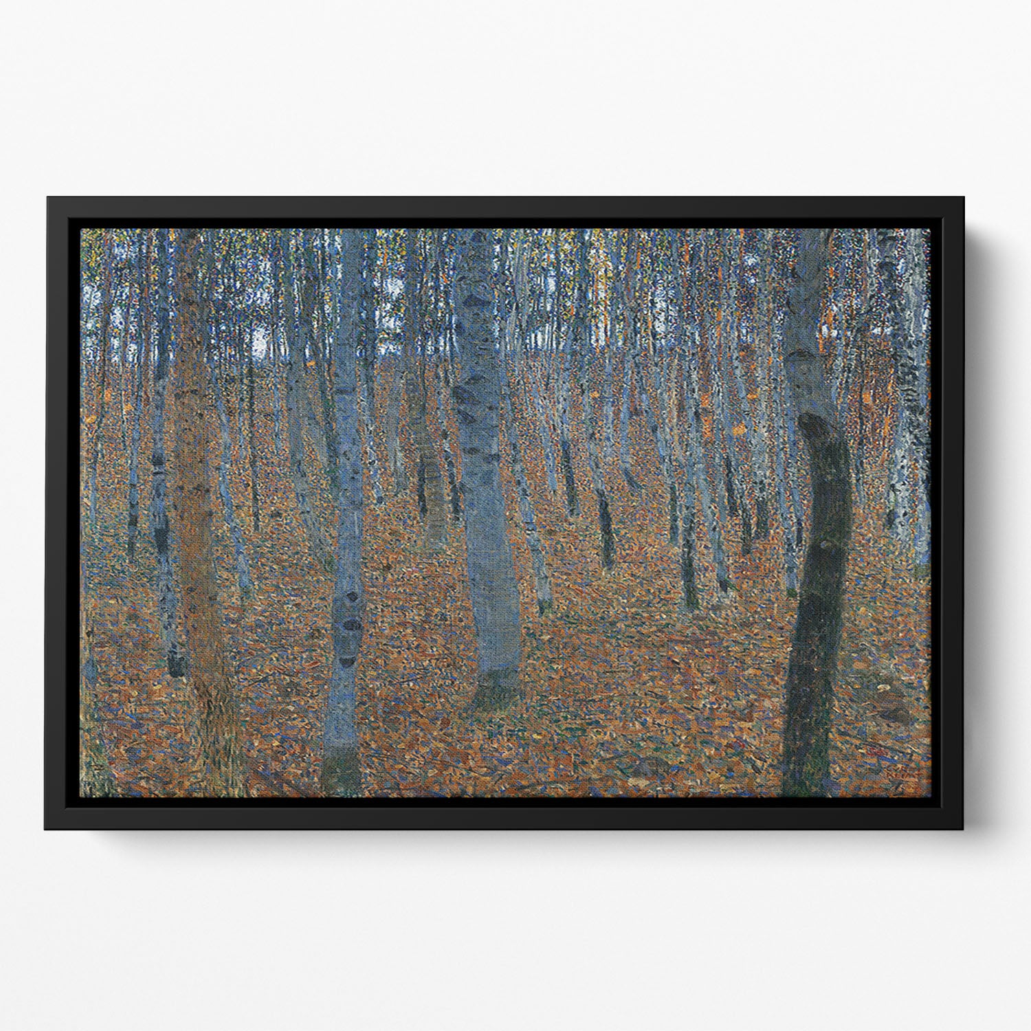 Beech Grove I by Klimt Floating Framed Canvas