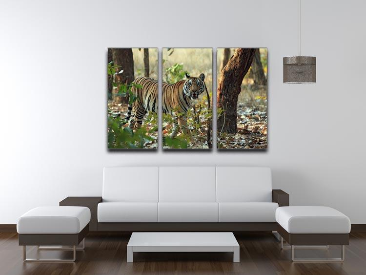 Bengal Tiger 3 Split Panel Canvas Print - Canvas Art Rocks - 3