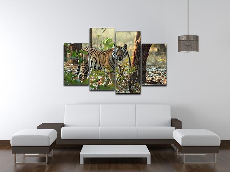 Bengal Tiger 4 Split Panel Canvas - Canvas Art Rocks - 3