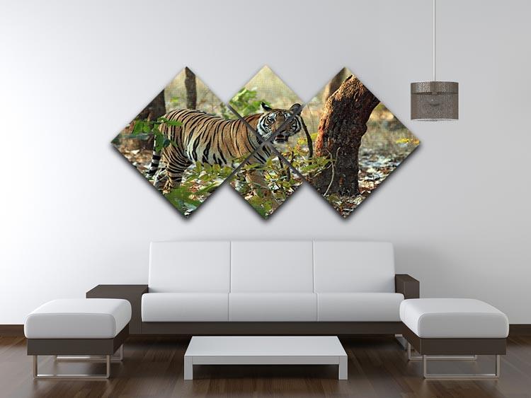 Bengal Tiger 4 Square Multi Panel Canvas - Canvas Art Rocks - 3