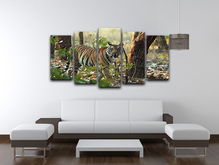 Bengal Tiger 5 Split Panel Canvas - Canvas Art Rocks - 3
