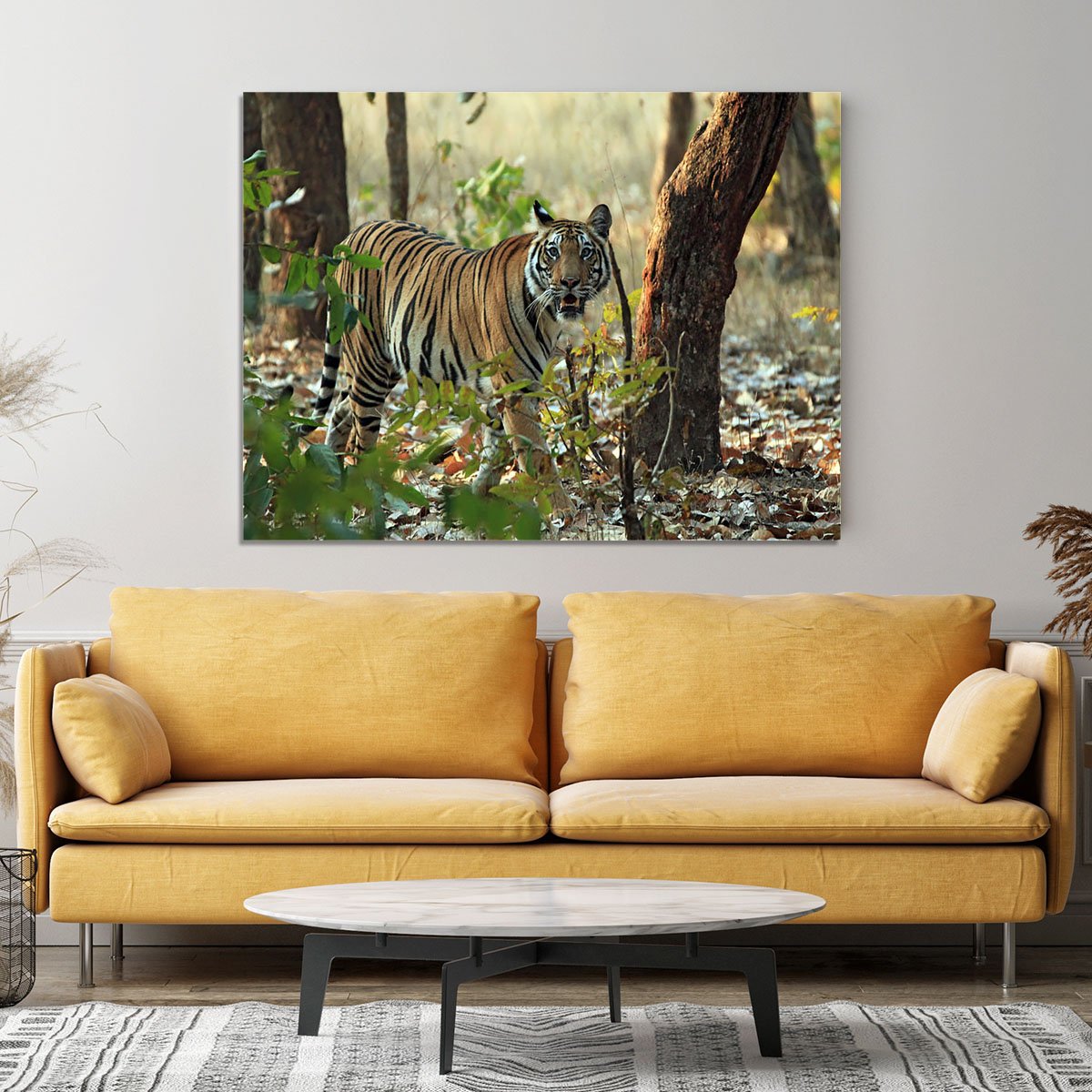 Bengal Tiger Canvas Print or Poster