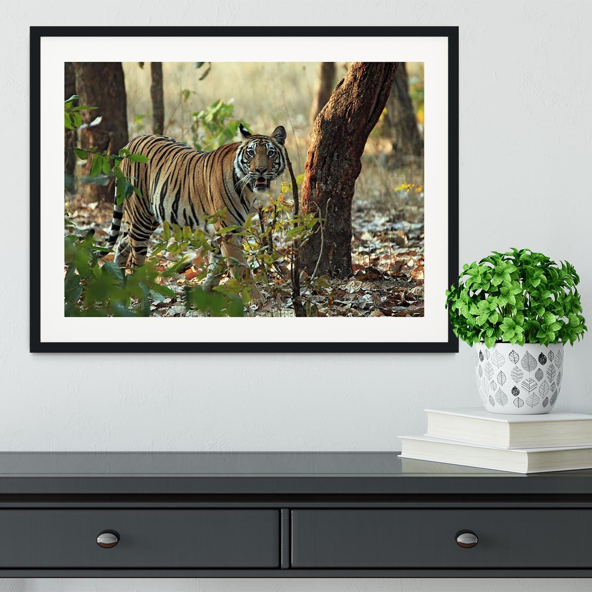 Bengal Tiger Framed Print - Canvas Art Rocks - 1