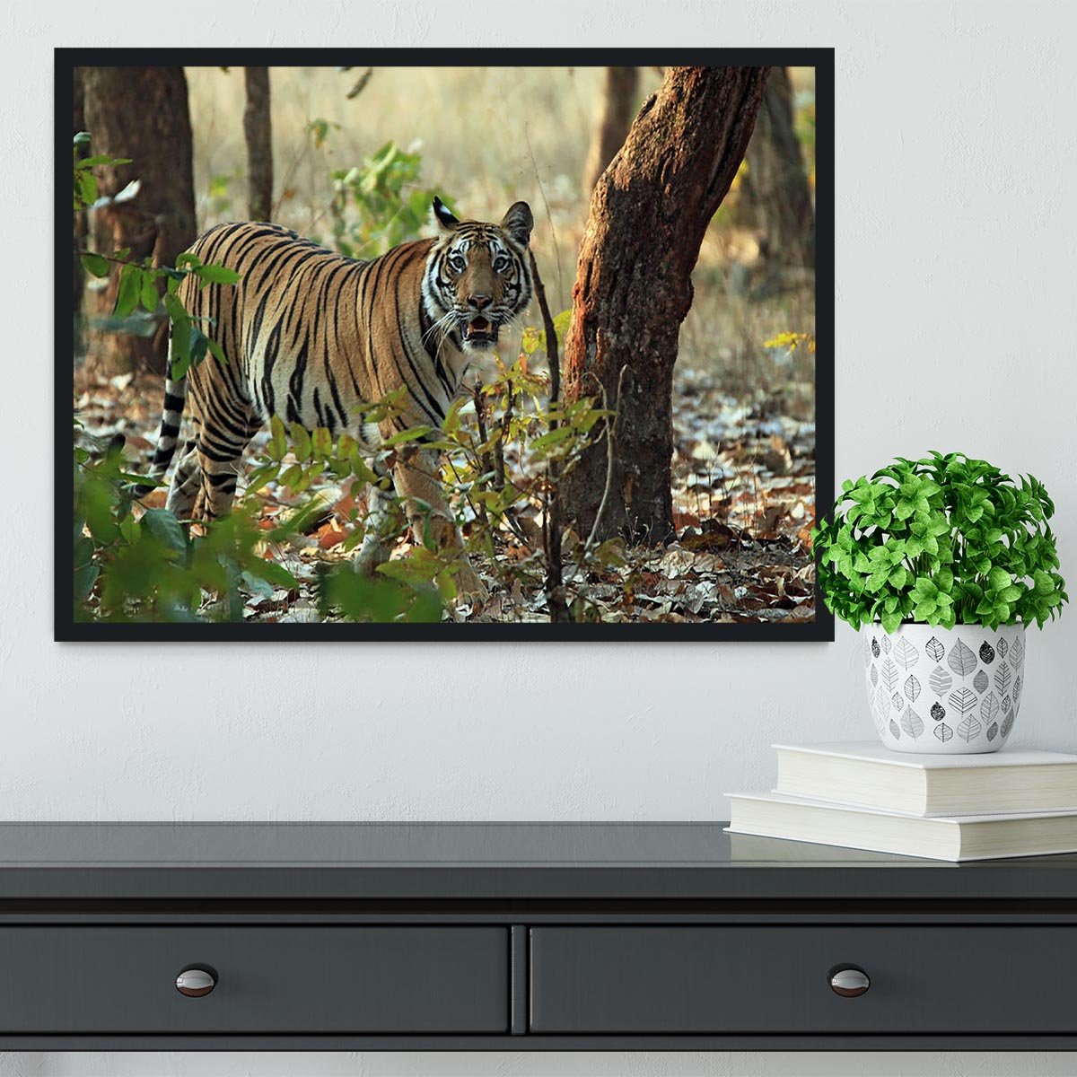 Bengal Tiger Framed Print - Canvas Art Rocks - 2