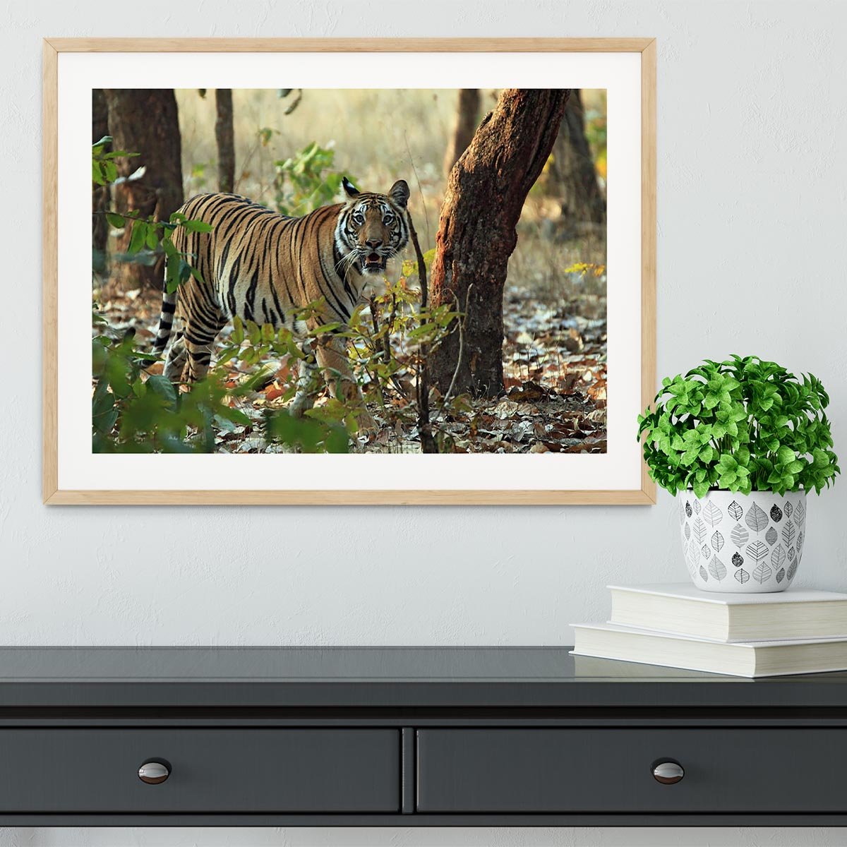 Bengal Tiger Framed Print - Canvas Art Rocks - 3