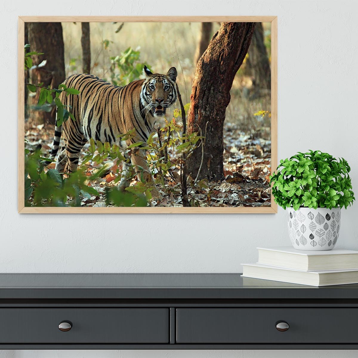 Bengal Tiger Framed Print - Canvas Art Rocks - 4