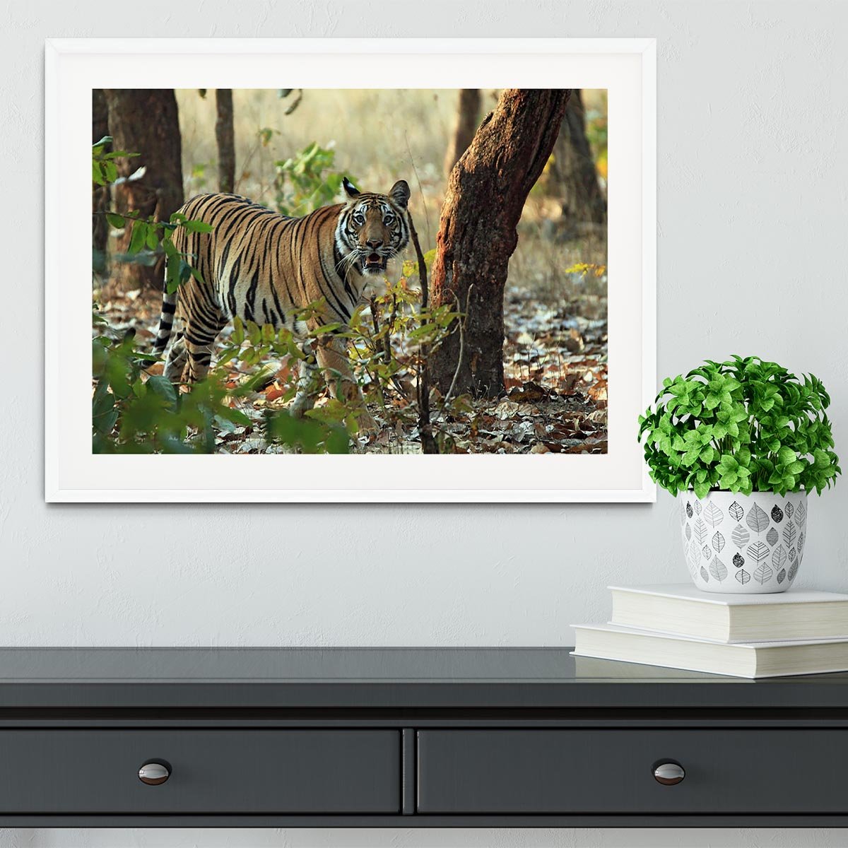 Bengal Tiger Framed Print - Canvas Art Rocks - 5