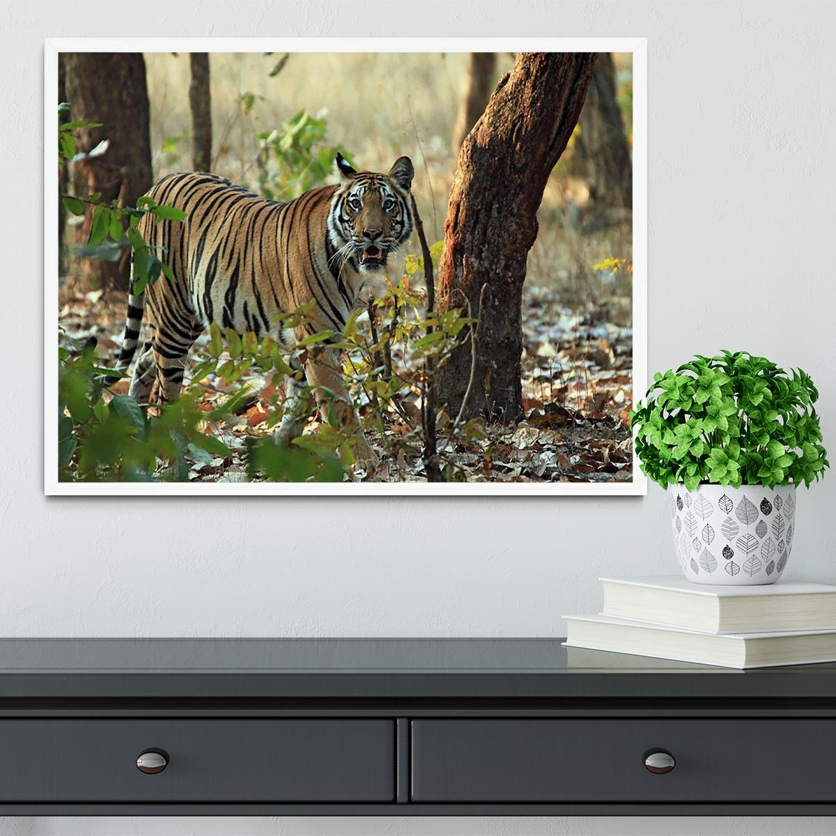Bengal Tiger Framed Print - Canvas Art Rocks -6