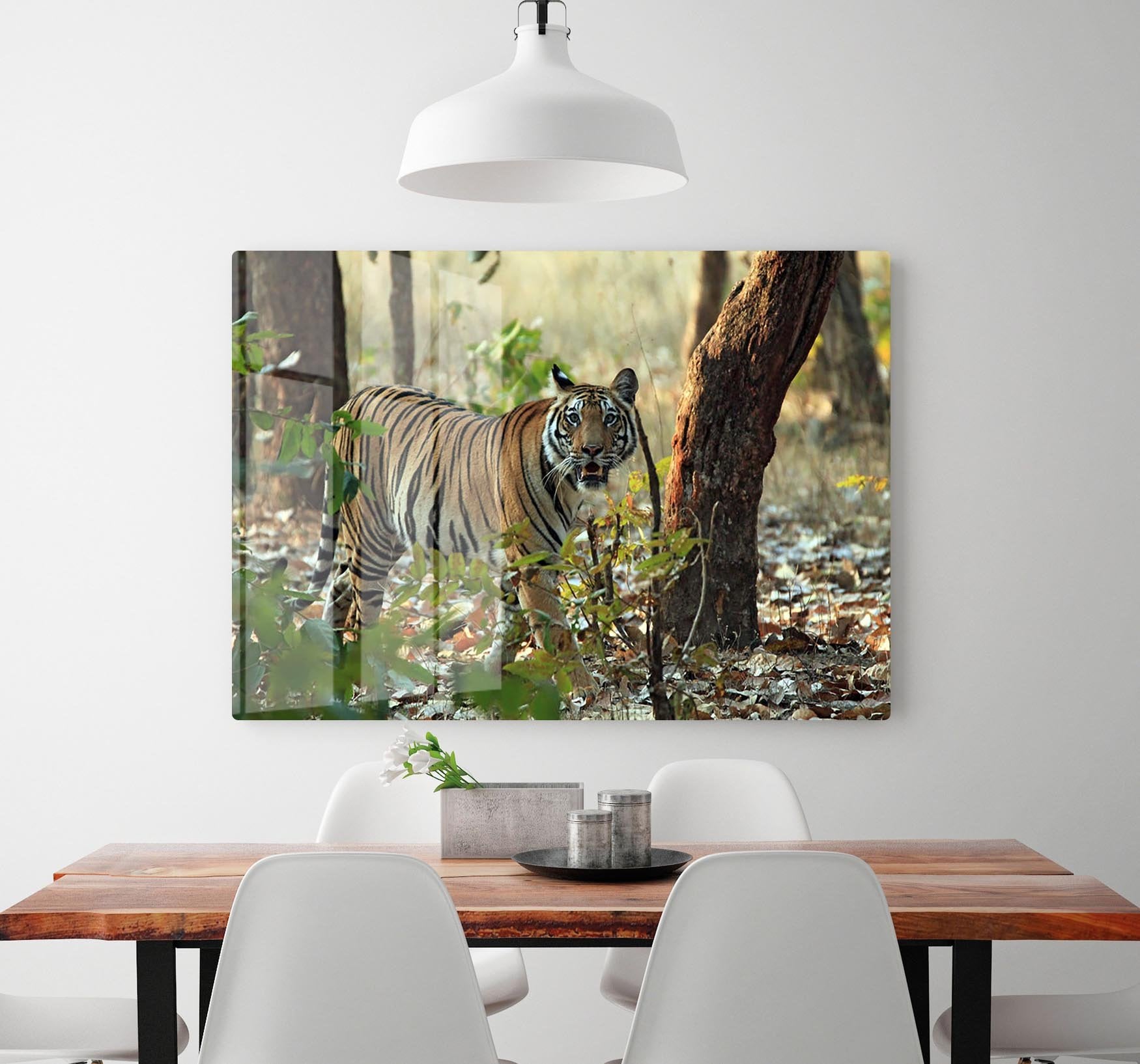 Bengal Tiger HD Metal Print - Canvas Art Rocks - 2