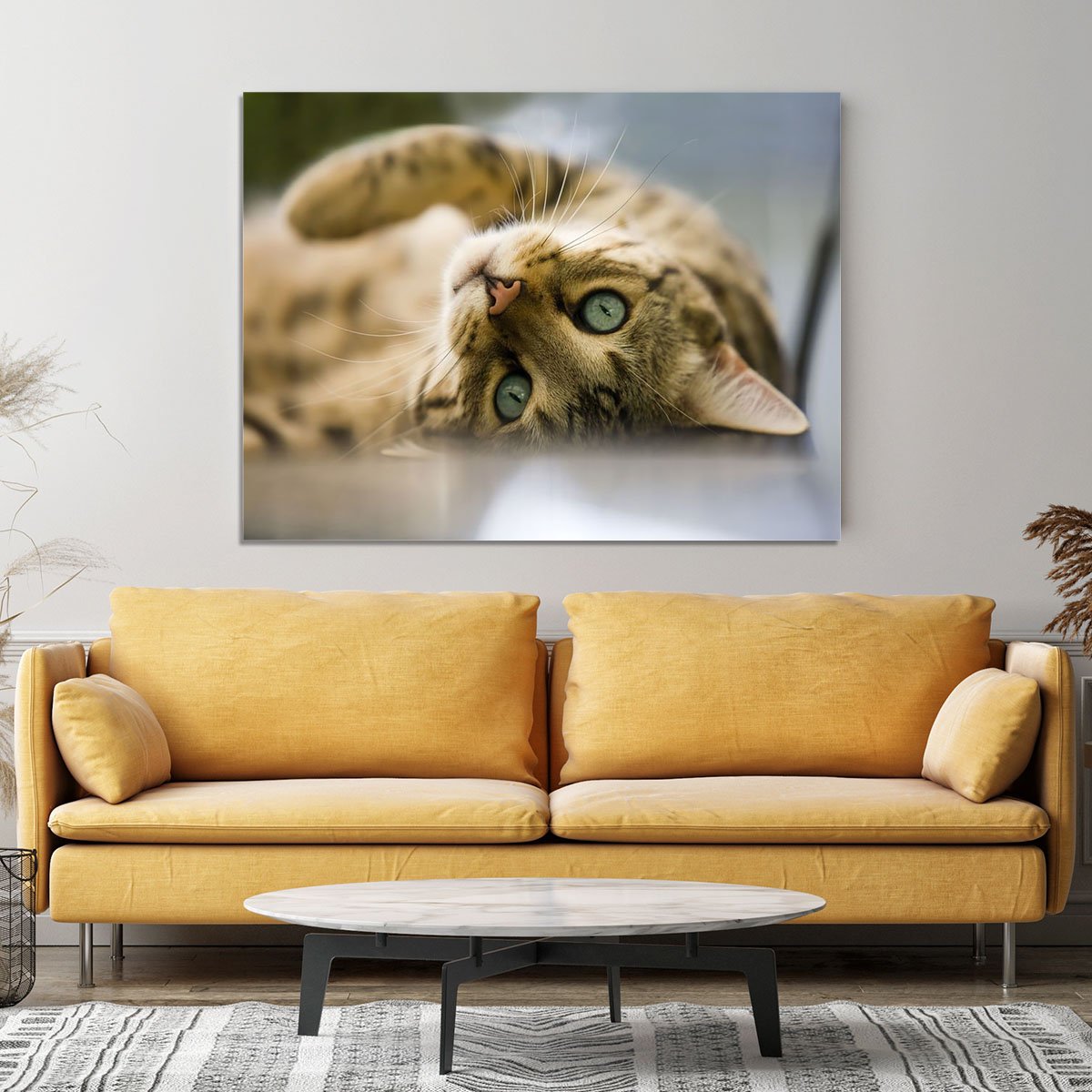 Bengal cat Canvas Print or Poster
