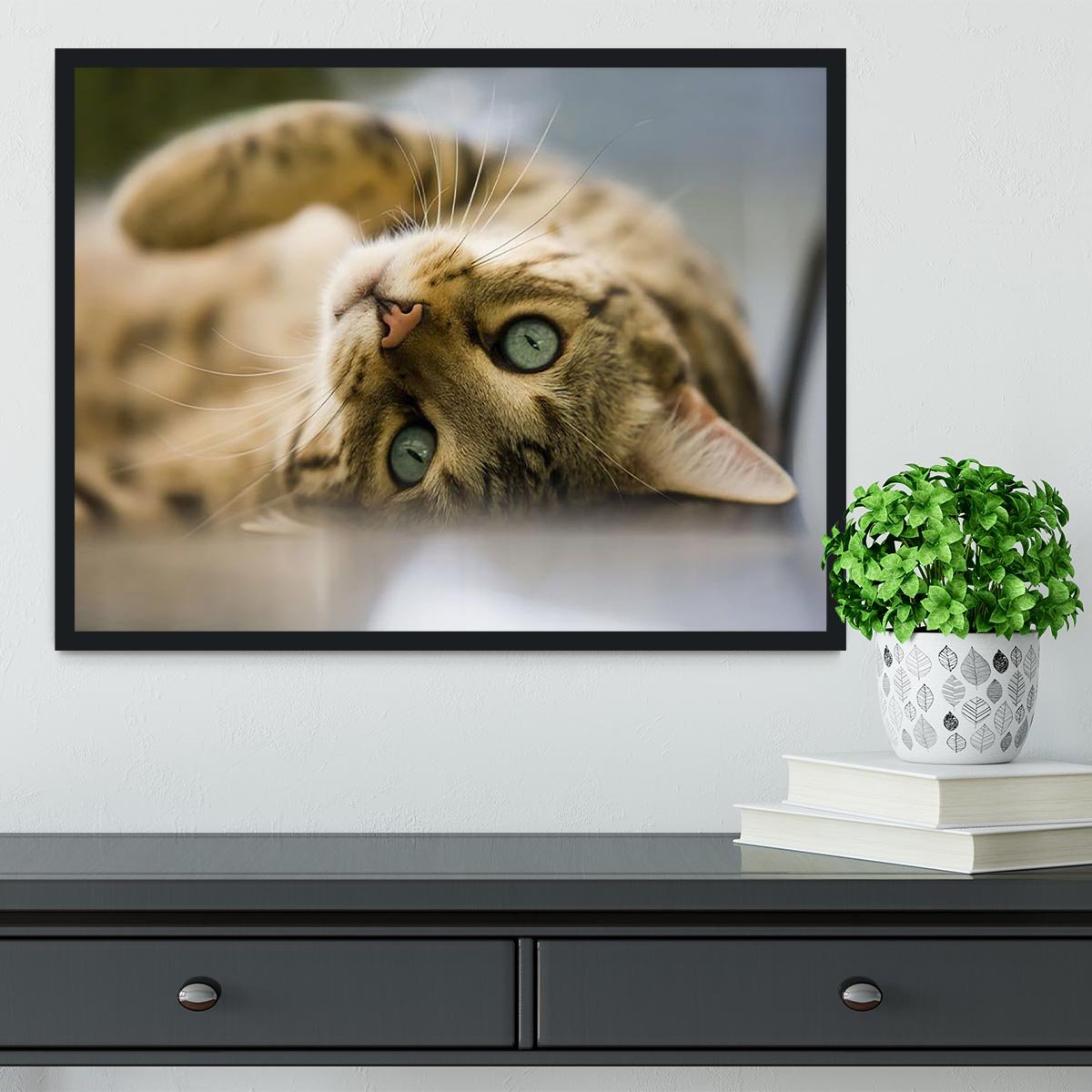 Bengal cat Framed Print - Canvas Art Rocks - 2