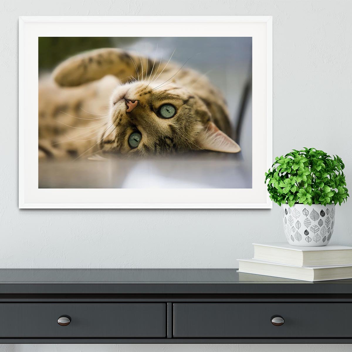 Bengal cat Framed Print - Canvas Art Rocks - 5