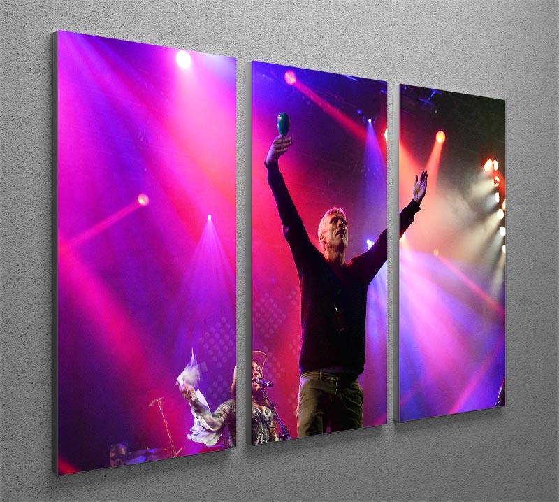 Bez of the Happy Mondays 3 Split Panel Canvas Print - Canvas Art Rocks - 2