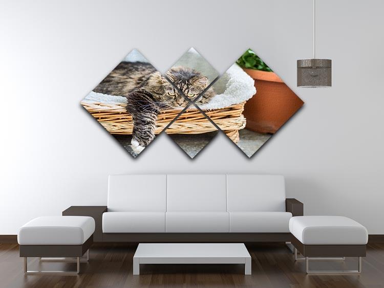 Big fluffy cat lying in wicker chaise sofa couch on balcony or garden terrace with flowers pot 4 Square Multi Panel Canvas - Canvas Art Rocks - 3