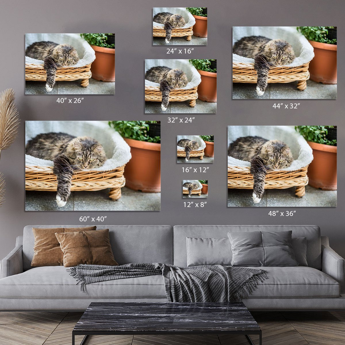 Big fluffy cat lying in wicker chaise sofa couch on balcony or garden terrace with flowers pot Canvas Print or Poster