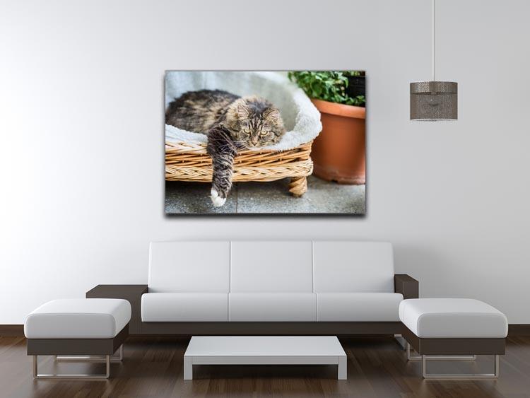 Big fluffy cat lying in wicker chaise sofa couch on balcony or garden terrace with flowers pot Canvas Print or Poster - Canvas Art Rocks - 4