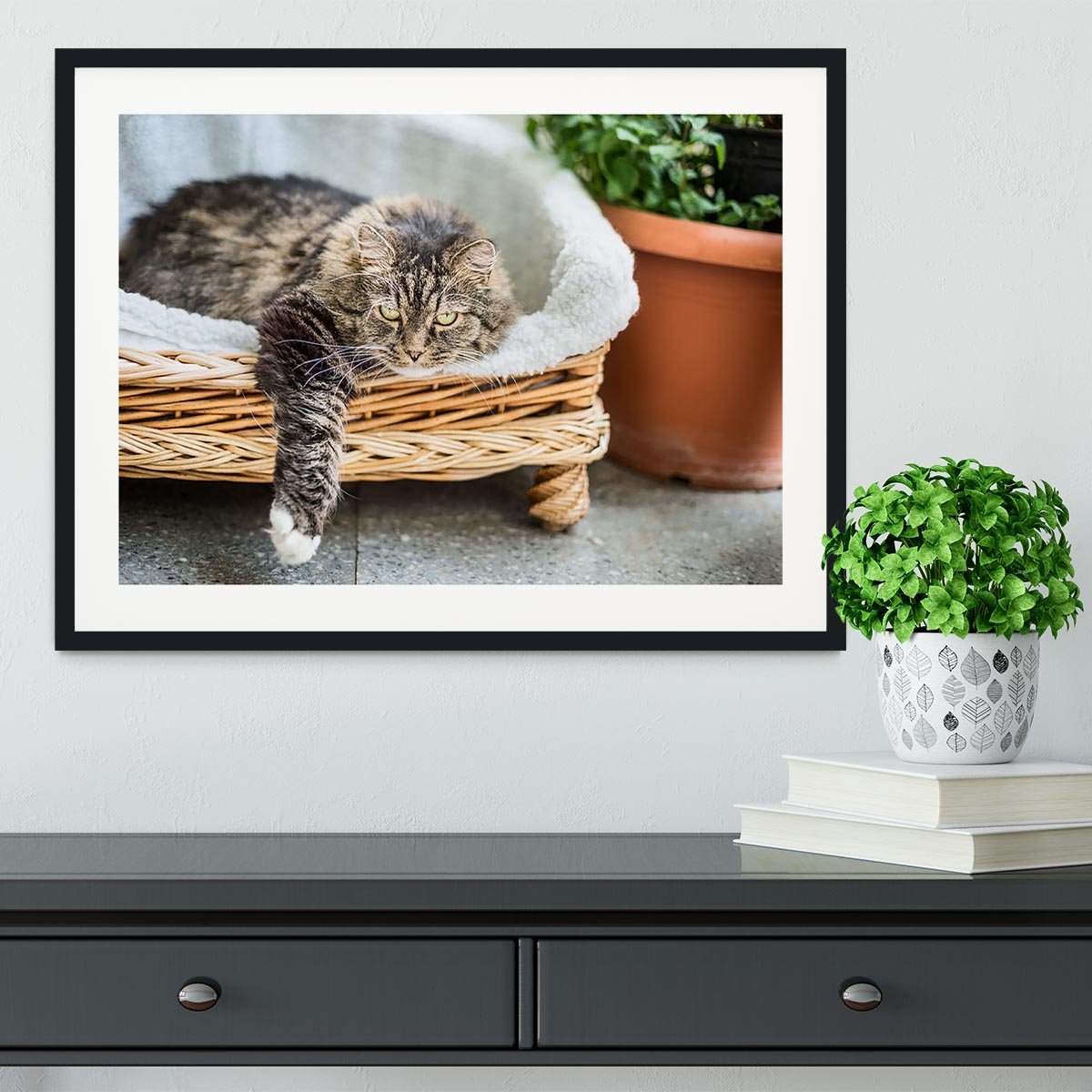 Big fluffy cat lying in wicker chaise sofa couch on balcony or garden terrace with flowers pot Framed Print - Canvas Art Rocks - 1