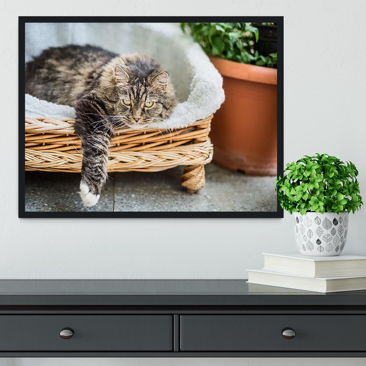 Big fluffy cat lying in wicker chaise sofa couch on balcony or garden terrace with flowers pot Framed Print - Canvas Art Rocks - 2