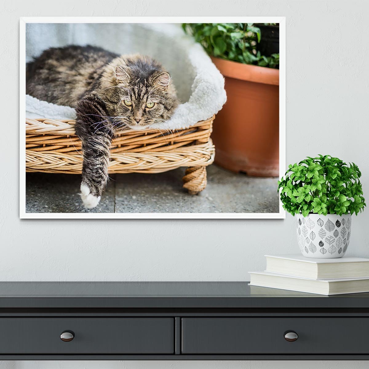 Big fluffy cat lying in wicker chaise sofa couch on balcony or garden terrace with flowers pot Framed Print - Canvas Art Rocks -6