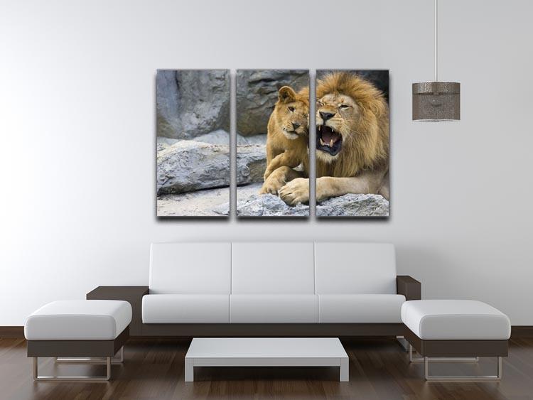 Big lion father and his son playing 3 Split Panel Canvas Print - Canvas Art Rocks - 3