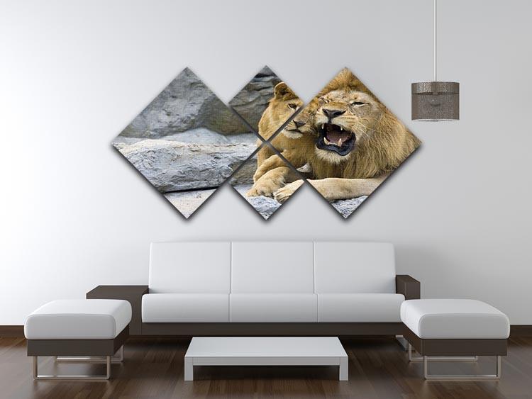 Big lion father and his son playing 4 Square Multi Panel Canvas - Canvas Art Rocks - 3