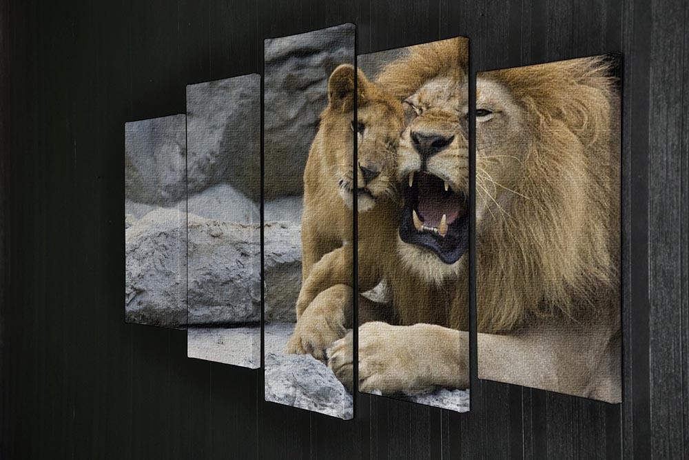 Big lion father and his son playing 5 Split Panel Canvas - Canvas Art Rocks - 2