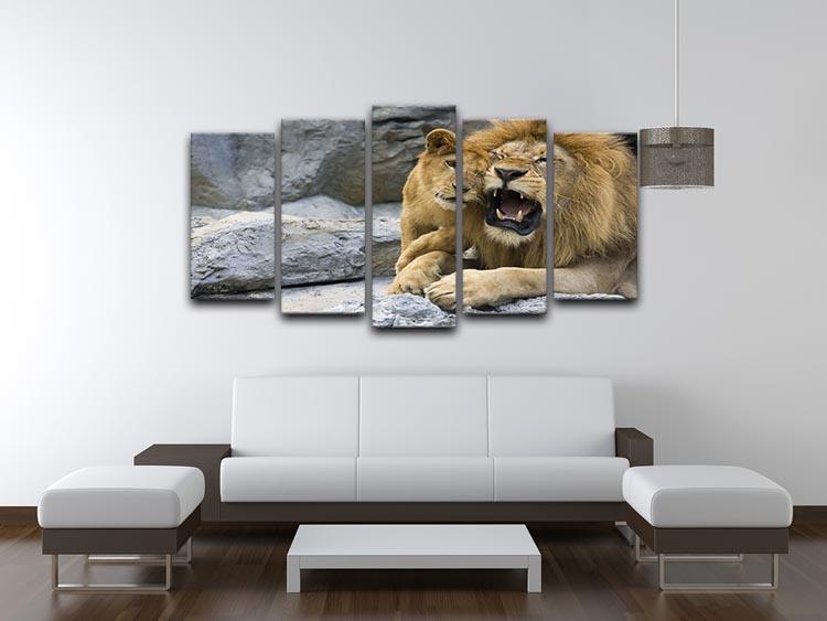 Big lion father and his son playing 5 Split Panel Canvas - Canvas Art Rocks - 3