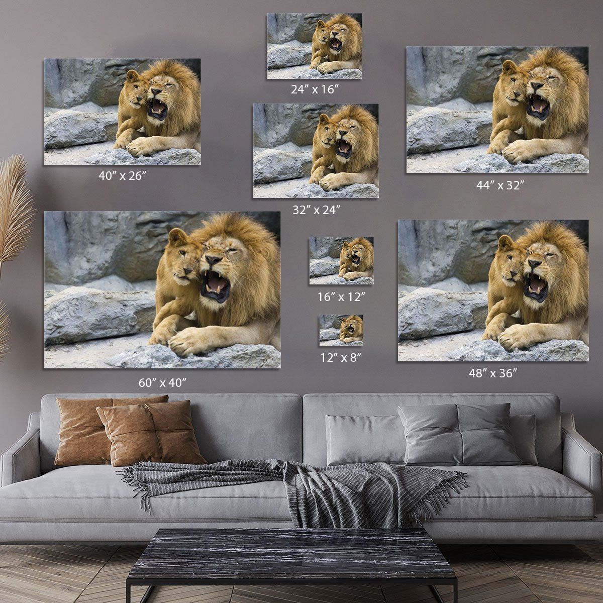 Big lion father and his son playing Canvas Print or Poster