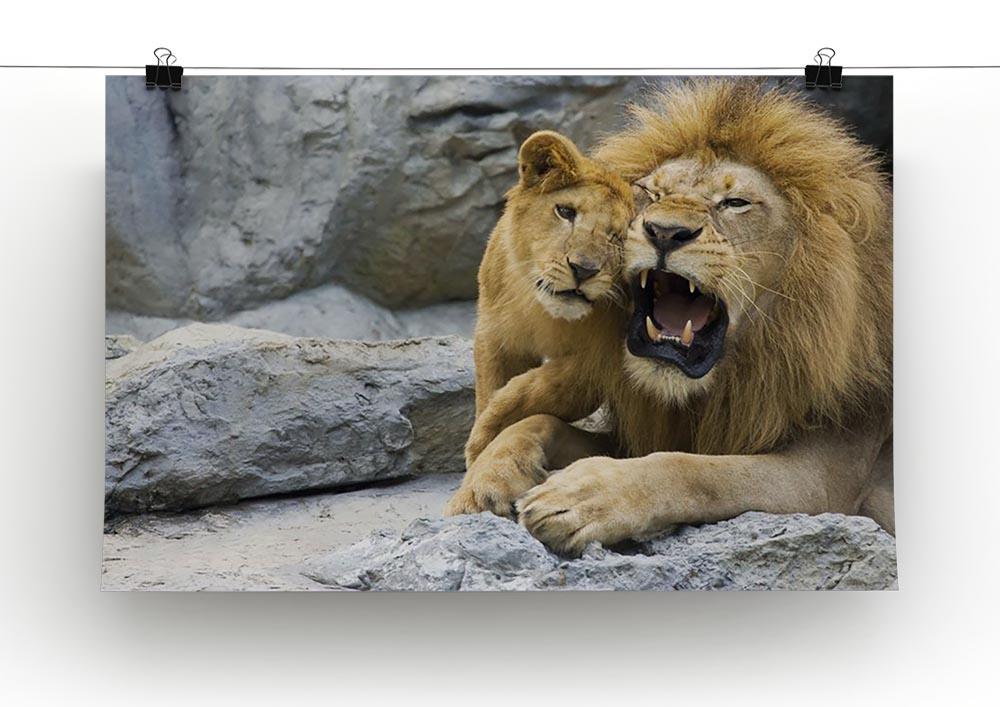 Big lion father and his son playing Canvas Print or Poster - Canvas Art Rocks - 2
