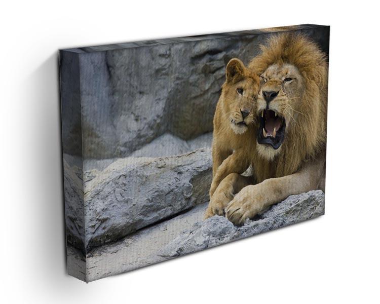 Big lion father and his son playing Canvas Print or Poster - Canvas Art Rocks - 3