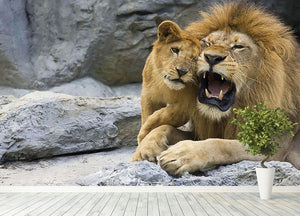 Big lion father and his son playing Wall Mural Wallpaper - Canvas Art Rocks - 4