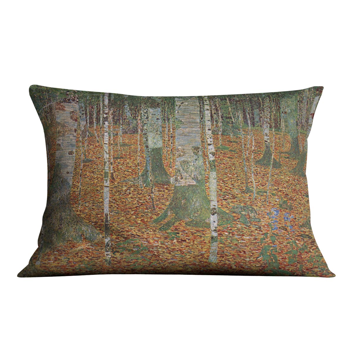 Birch Forest by Klimt Cushion
