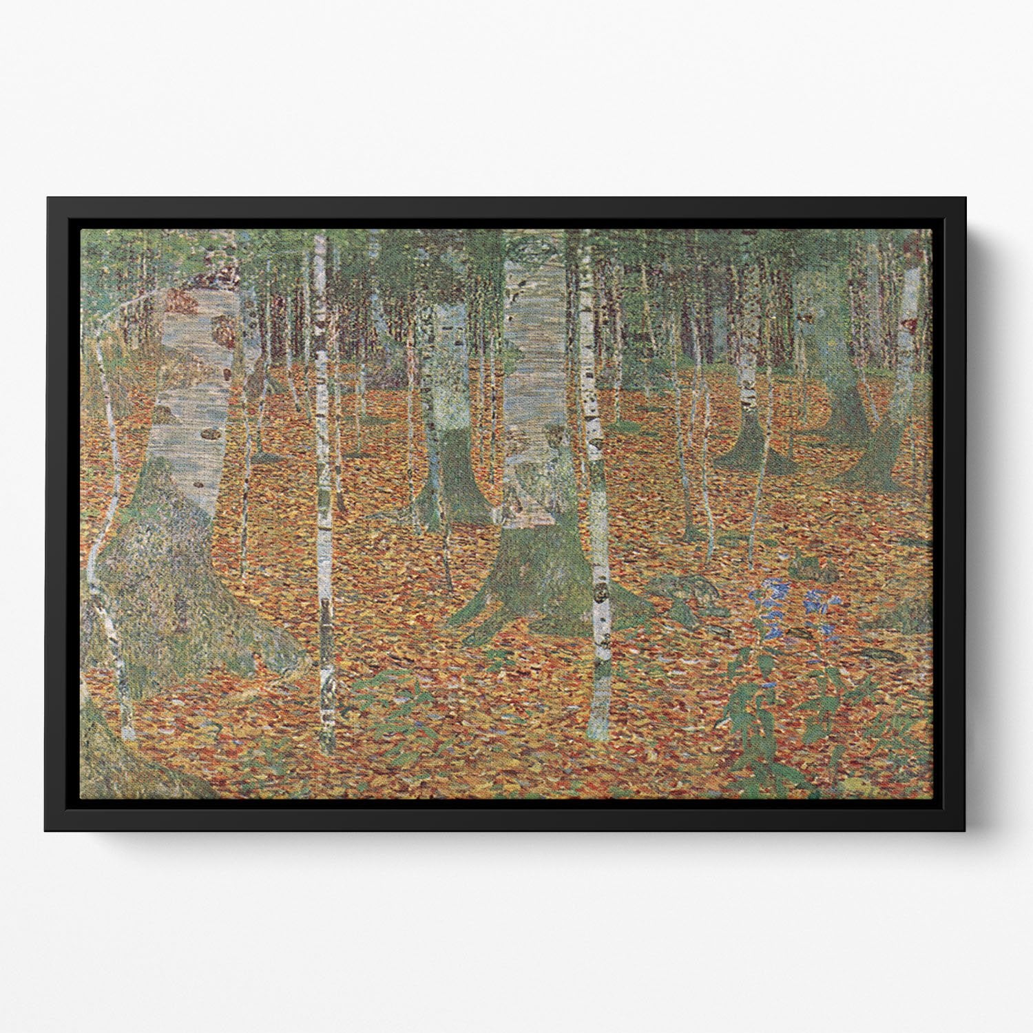 Birch Forest by Klimt Floating Framed Canvas