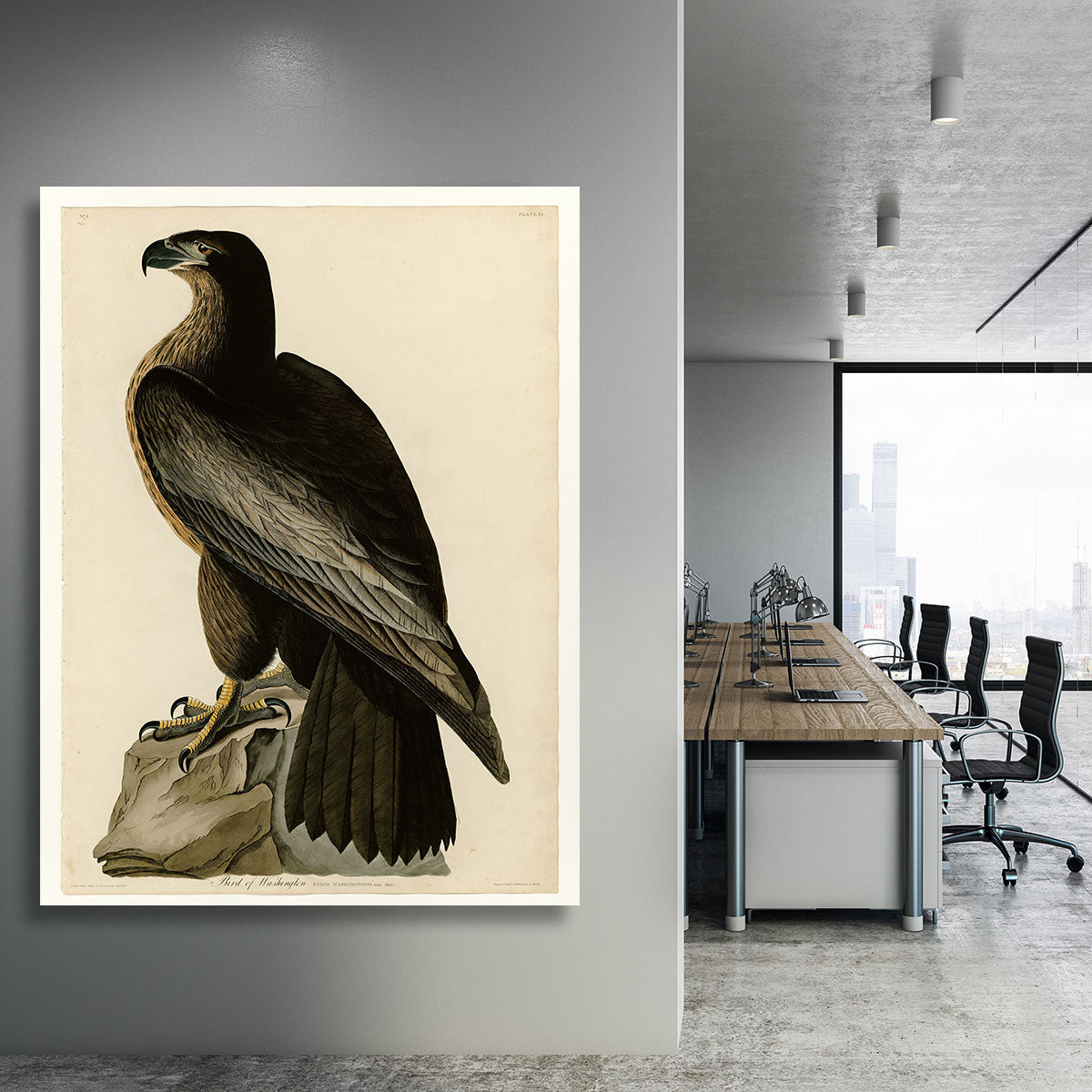 Bird of Washington by Audubon Canvas Print or Poster - Canvas Art Rocks - 3