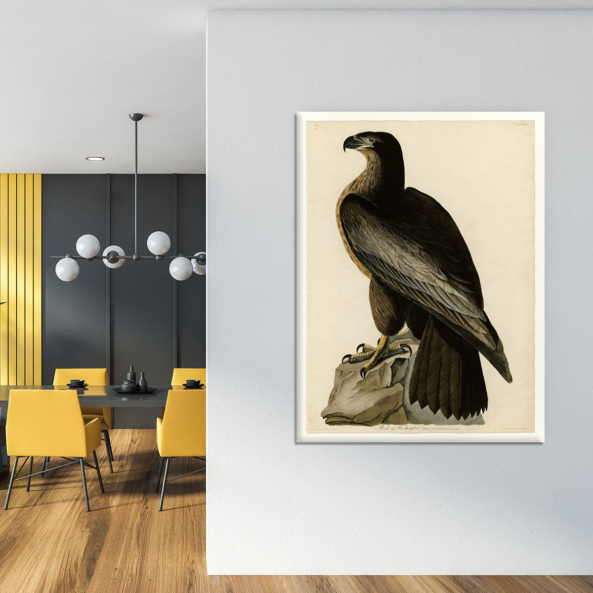 Bird of Washington by Audubon Canvas Print or Poster - Canvas Art Rocks - 4