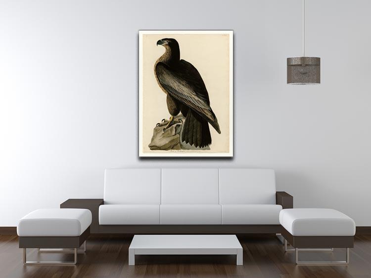 Bird of Washington by Audubon Canvas Print or Poster - Canvas Art Rocks - 4