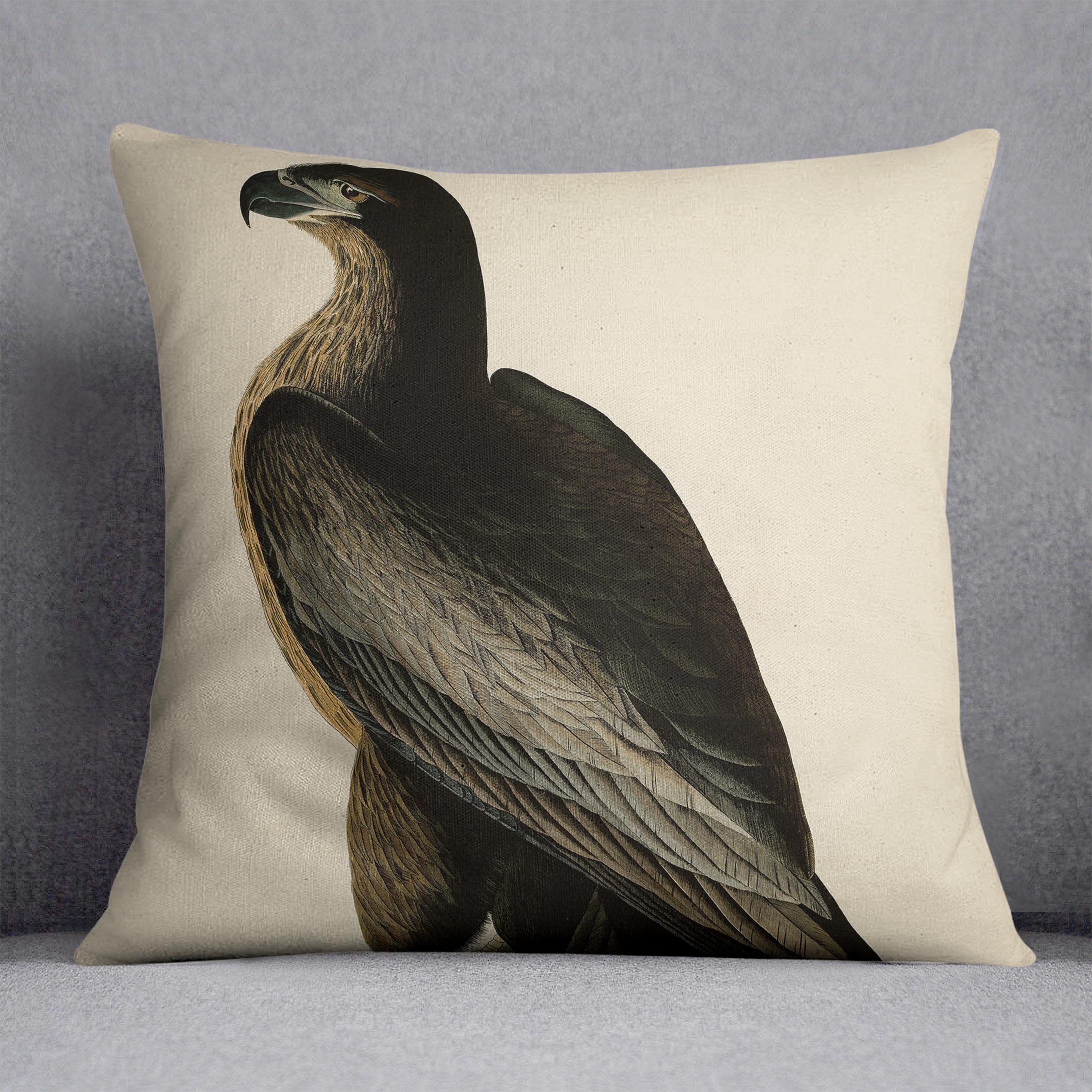 Bird of Washington by Audubon Cushion